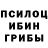 Галлюциногенные грибы прущие грибы MOARTE .
